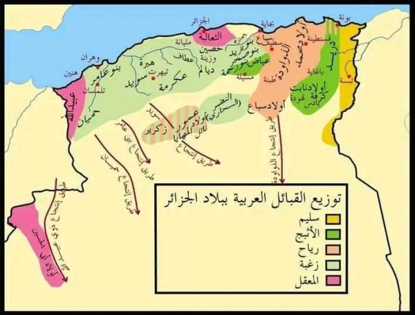 تعريف باصل وتاريخ قبيلة بني عامر الهلالية ويكيبيديا من هم بني عامر الهلالية قبيلة بني عامر الهلالية أهل سطيف