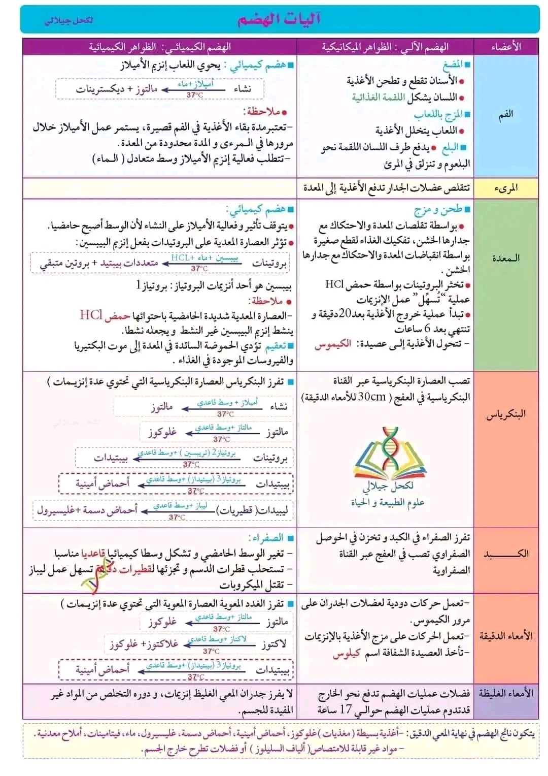 ملخص آليات الهضم 4 متوسط ملخص مقطع التغذية عند الإنسان للسنة الرّابعة متوسط علوم طبيعية