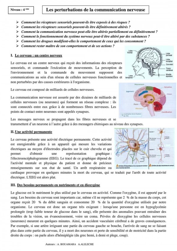 ملخصات دروس svt الثالثة اعدادي الدورة الثانية بالفرنسية    ملخصات دروس مادة علوم الحياة والأرض السنة الثالثة إعدادي خيار فرنسية pdf الجهاز العصبي