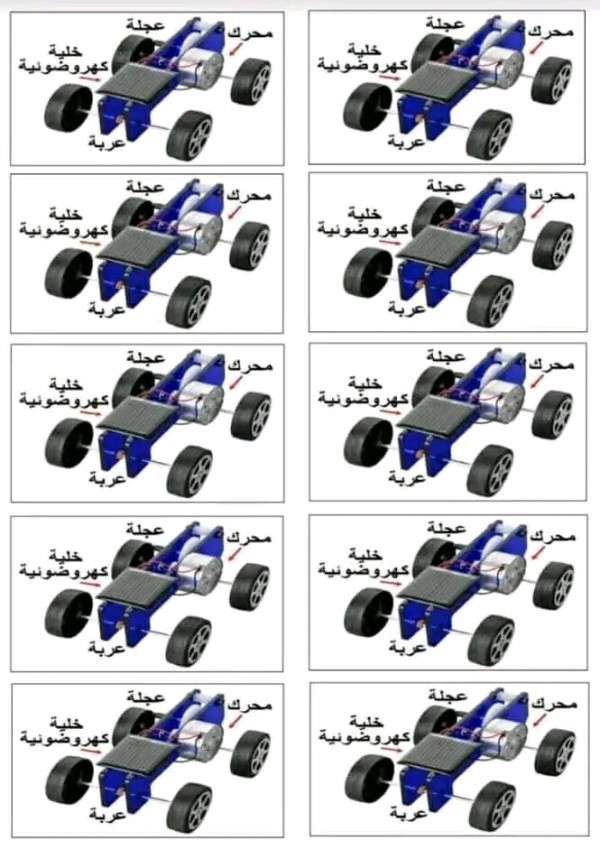 أوراق عمل عن نماذج للسلسة الوظيفية و الطاقوية سنة ثالثة متوسط