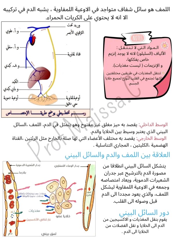 تحضير درس نقل المغديات للسنة 4 الرابعة متوسط