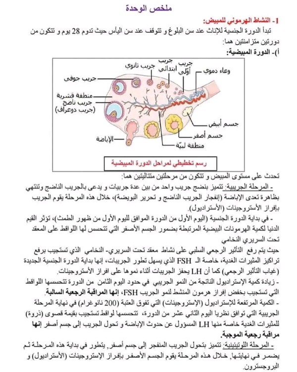 ملخص التنسيق العصبي الهرموني سنة 2 ثانوي النشاط الهرموني المبيض