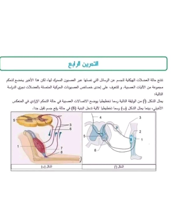 نص علمي حول الادماج العصبي 2 ثانوي