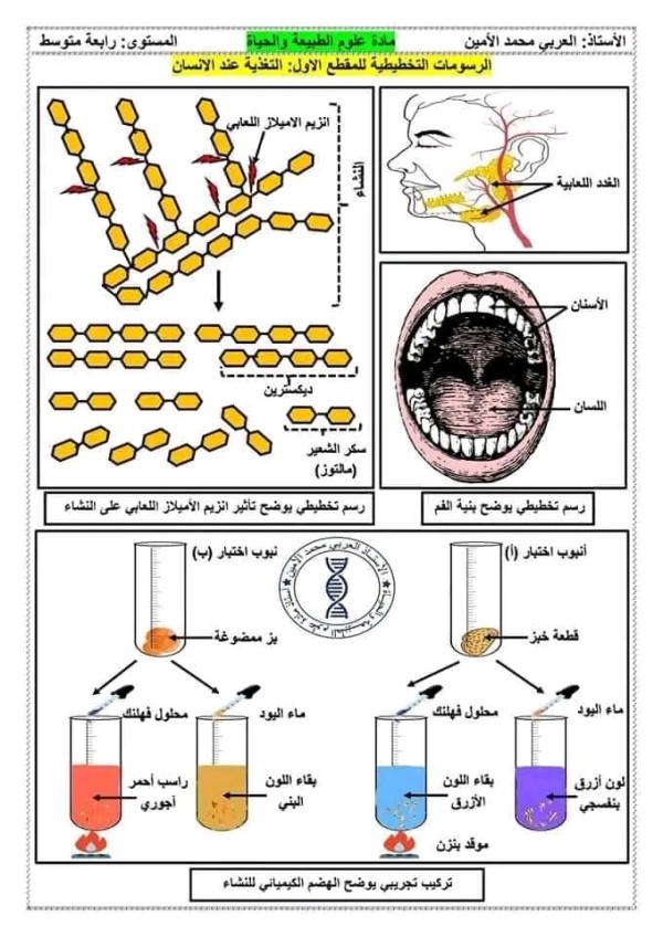 ملخصات دروس العلوم الطبيعية للسنة الرابعة متوسط 2023 2024 الفصل الأول ملخصات علوم طبيعية 4 متوسط