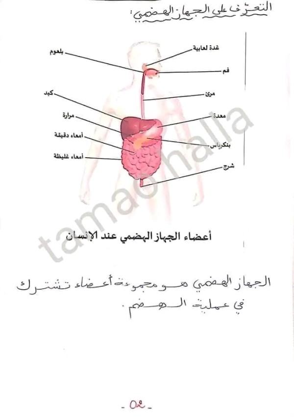 ملخصات دروس العلوم الطبيعية للسنة الرابعة متوسط 2023 الفصل الأول