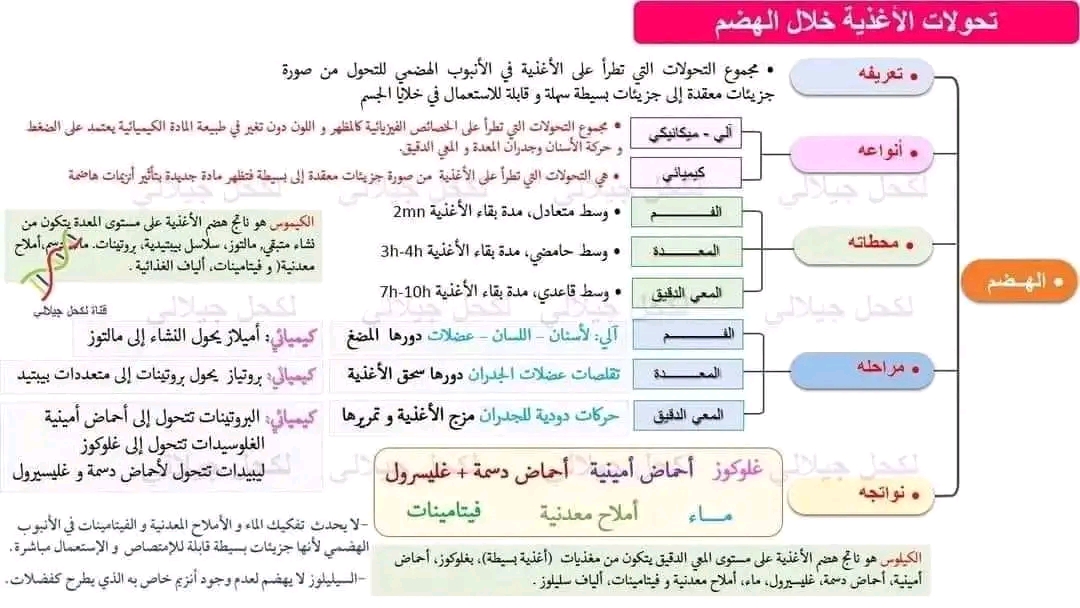 ملخص آليات الهضم 4 متوسط ملخص مقطع التغذية عند الإنسان للسنة الرّابعة متوسط علوم طبيعية