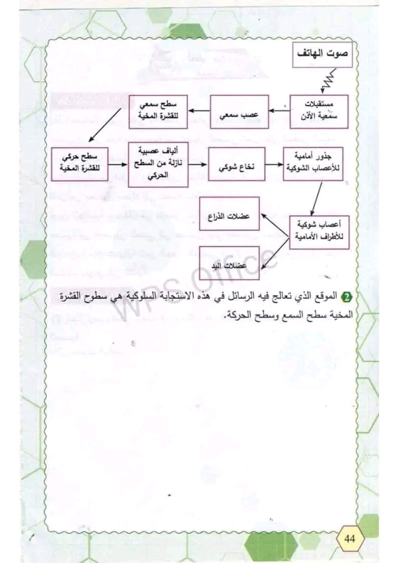 حل استرجع مكتسباتي ص 48 علوم طبيعية رابعة 4 متوسط