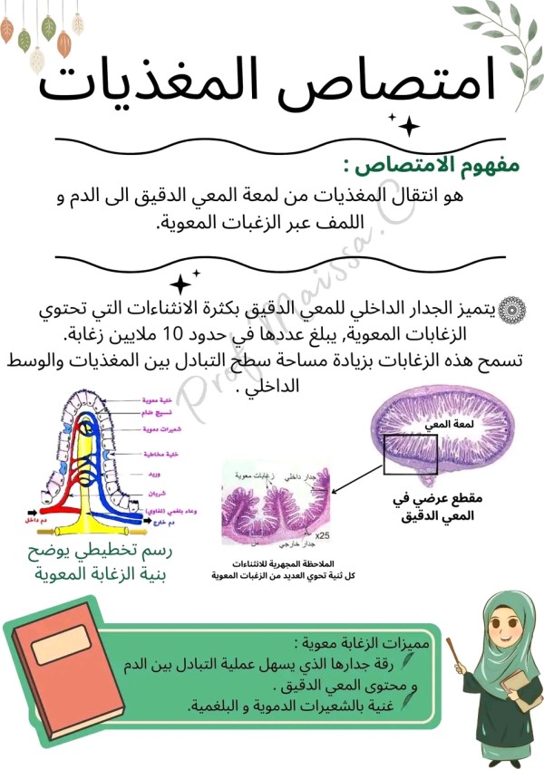 ملخص درس امتصاص المغذيات للسنة الرابعة 4 متوسط